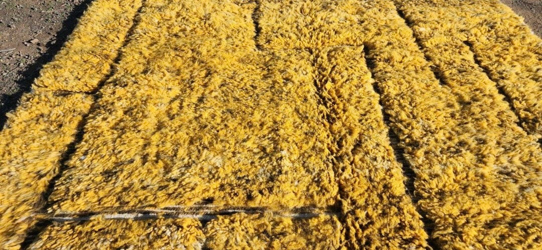 Beni Ourain Rug- Tapis Beni Ouarain