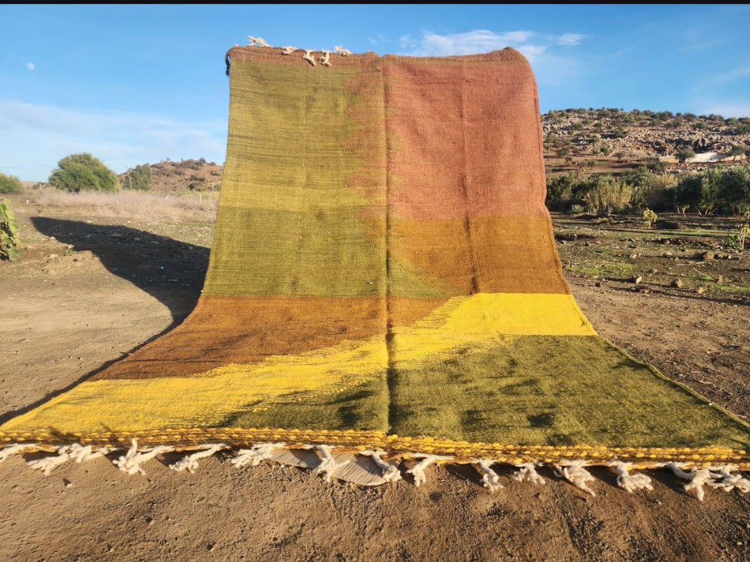 Zanafi Rug 300x200cm - Tapis Zanafi