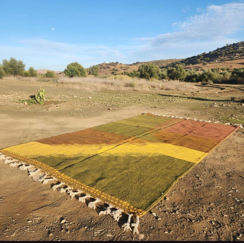 Zanafi Rug 300x200cm - Tapis Zanafi